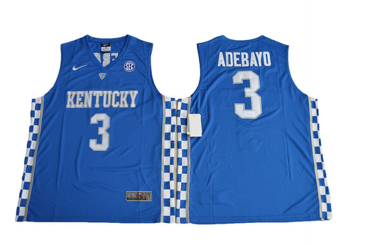 Edrice Adebayo 3 Blue 2017