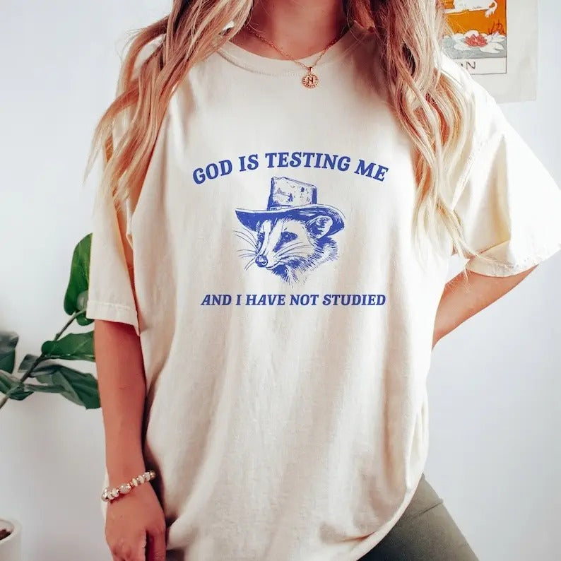 God Is Testing Me, Possum T Shirt, Weird Opossum T Shirt, Meme T Shirt, Trash Panda T Shirt, Unisex Hoodie, Sweatshirt