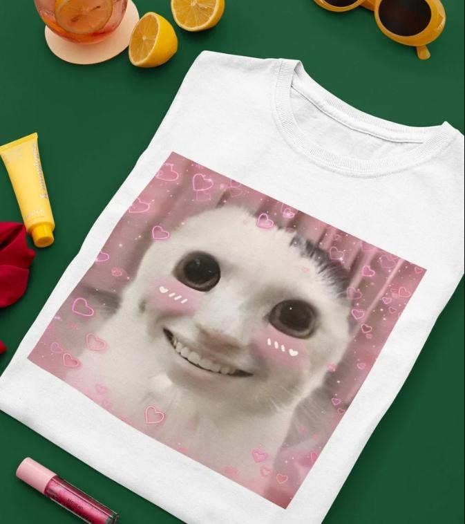 Goofy Ahh Cat Shirt Meme Dank, Cursed Weirdcore Cringey Shirts, Banana Cat, I Got Too Silly Hoodie, Sweatshirt