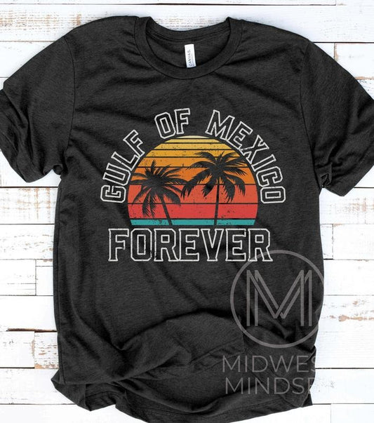 Gulf of Mexico Forever Shirt, Anti Gulf of America Democrat Gifts, Anti-Fascist Gifts, 2025 American Politics, Political T-Shirt