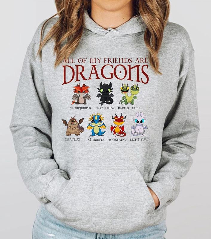 How To Train Your Dragon Shirt, Hidden World Tee, Toothless Friend Shirt Hoodie, Sweatshirt | InkThreadWorks.com