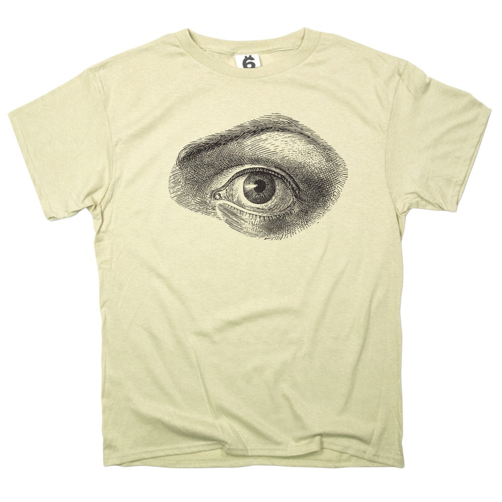 Human Eye