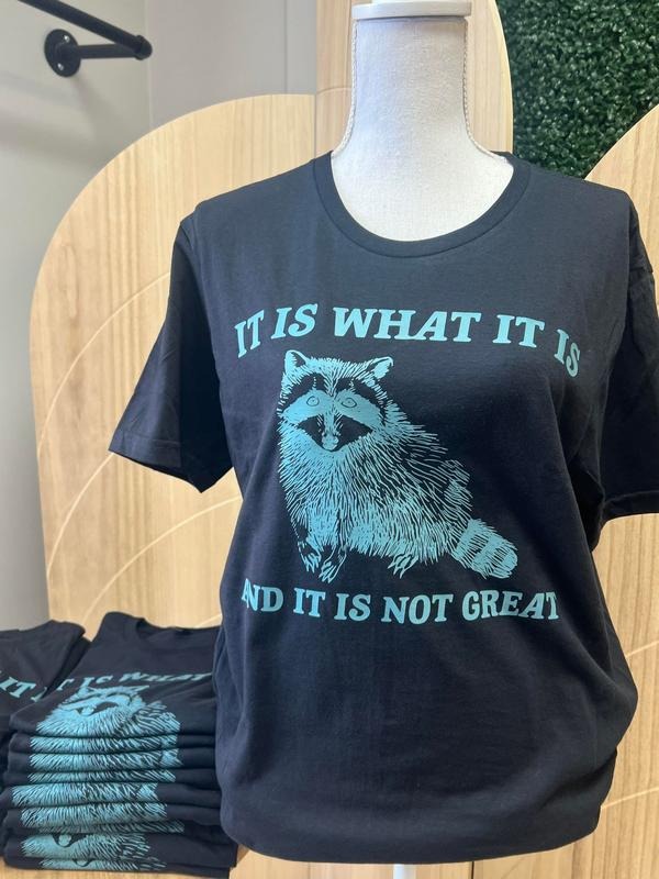 It is What it is and it is Not Great BLACK T-SHIRT - Raccoon Shirt - Funny Tee Hoodie, Sweatshirt | InkThreadWorks.com
