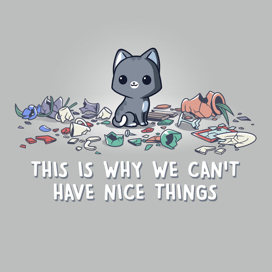 Cant Have Nice Things
