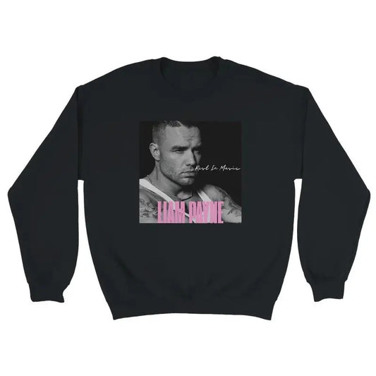 Liam Payne One Direction Sweathirt, Retro Liam Payne Tribute Sweathirt, One Direction Muic Band, Thank For Memorie , Gift...