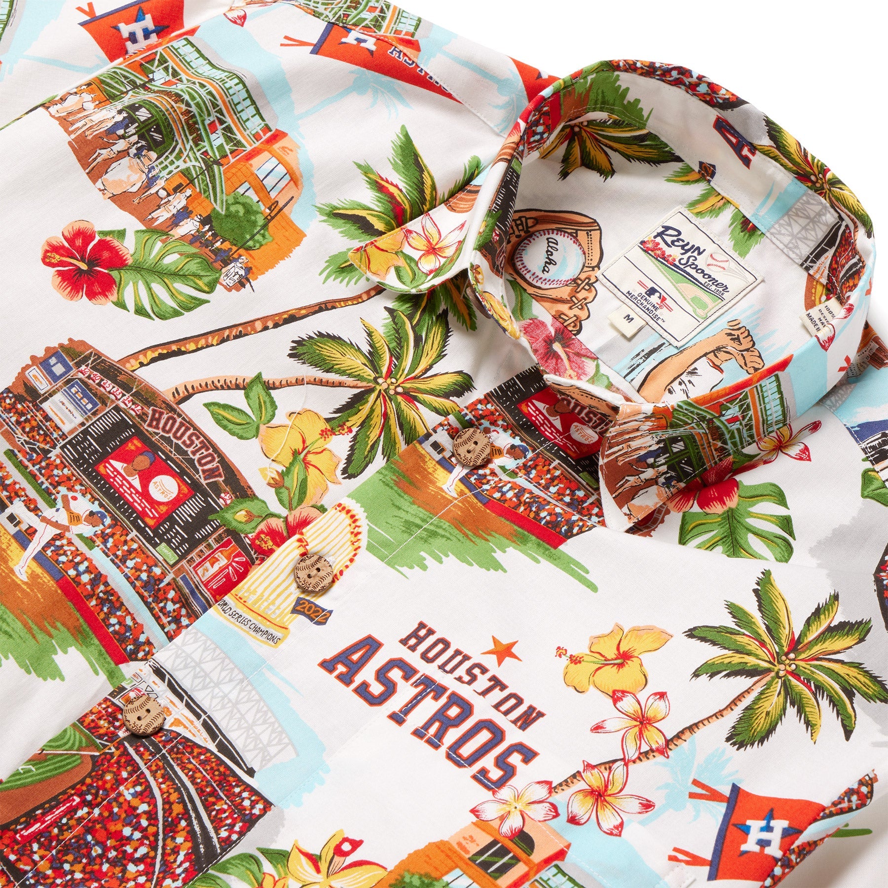 MLB® HOUSTON ASTROS SCENIC