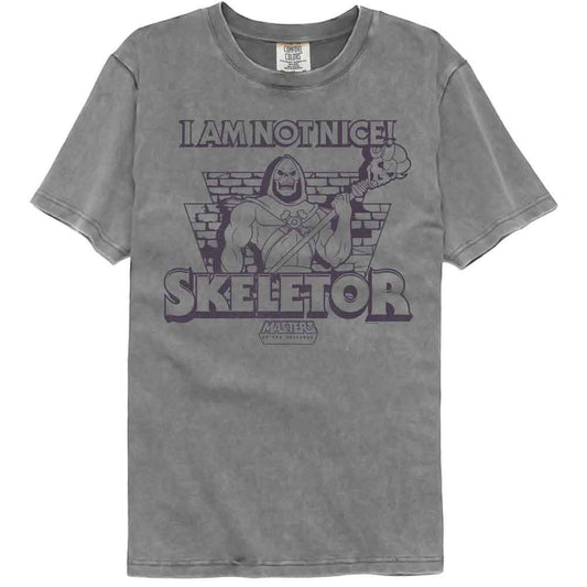 Masters Of The Universe - Not Nice Skeletor - American Classics - Gray Solid Adult Short Sleeve Comfort Color T-Shirt