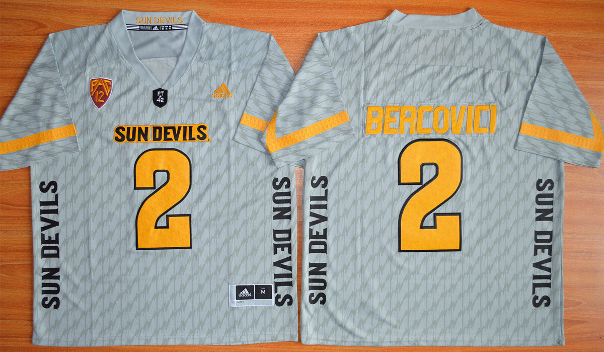 Mike Bercovici 2 grey