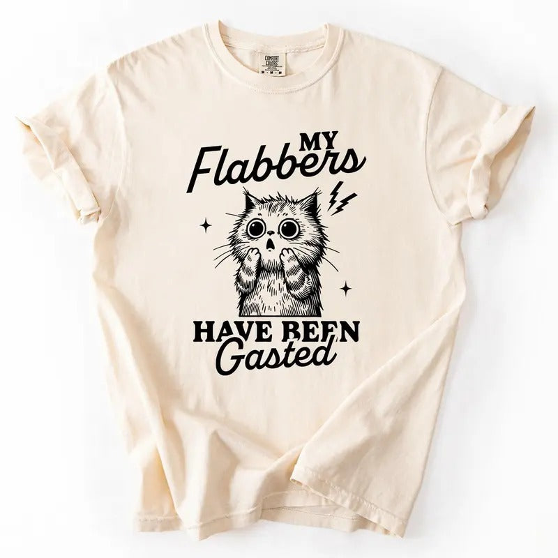 My Flabbers Have Been Gasted, Flabbergasted Cat, Funny, Sassy, Sarcastic Tshirt, Women's Comfort Colors Tee