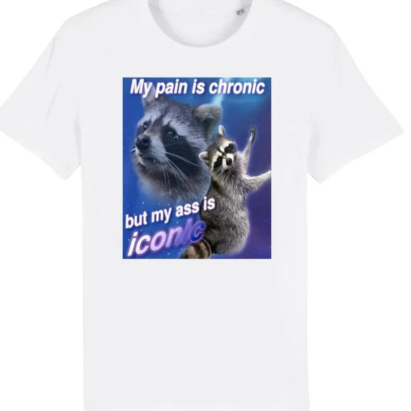 My Pain Is Chronic But My Ass Is Iconic Funny Raccoon Meme T-Shirt Hoodie, Sweatshirt | InkThreadWorks.com