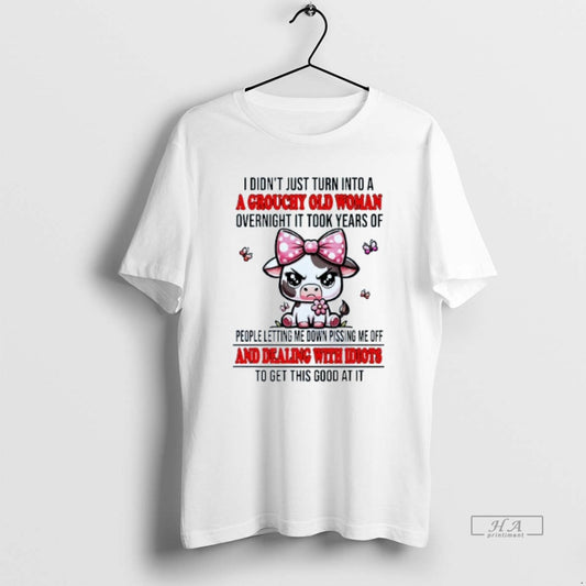 Official I Didnt Just Turn Into A Grouchy Old Woman Overnight It Took Years Of T-Shirts, Hoodie, Sweatshirt