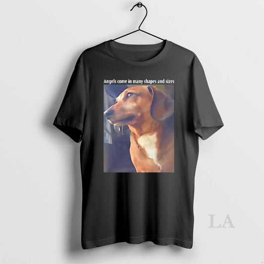 Original Mark Pellegrino Angels Come In Many Shapes And Sizes T-Shirts, Hoodie, Sweatshirt | InkThreadWorks.com