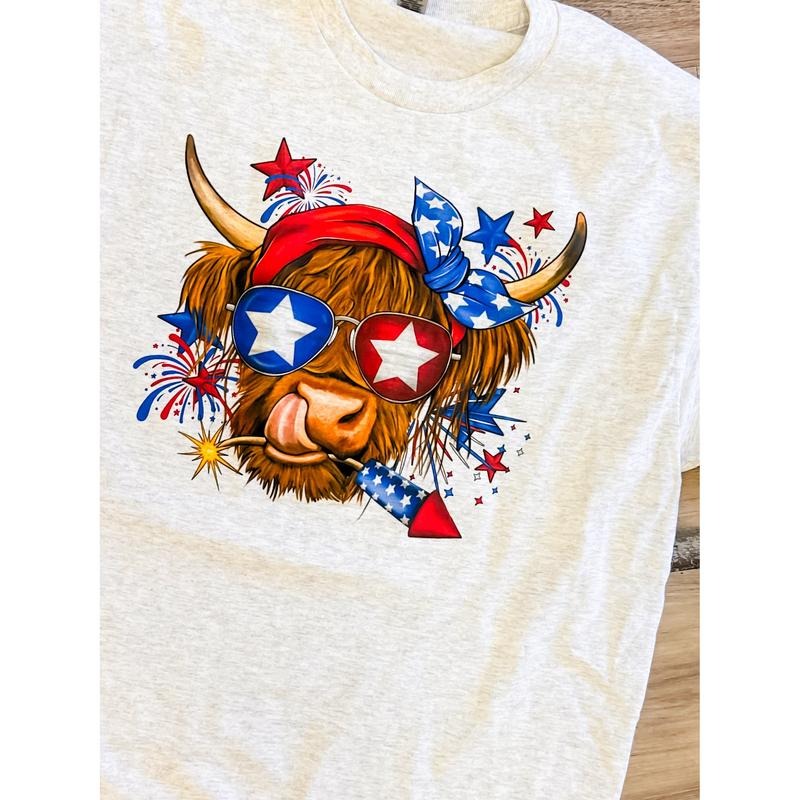 Patriotic Cow Graphic Top