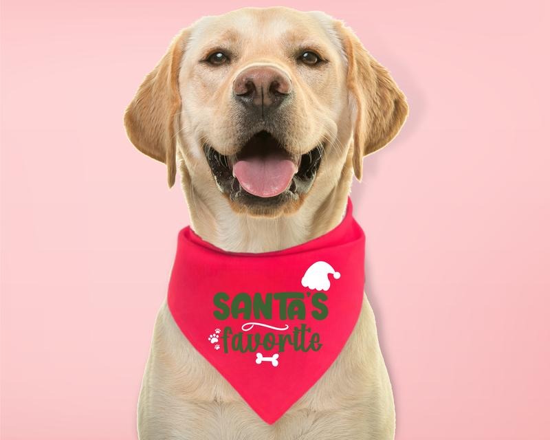 Santa's Favorite Dog Bandana, Christmas Dog Neck Scarf, Pet Xmas Gift Bandana, New Puppy Christmas Scarf, Dog Gift...