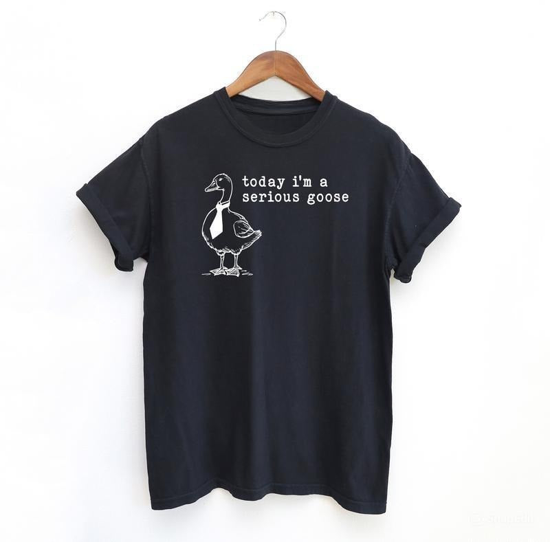 Serious Goose Funny Shirt, Meme Shirt, Menswear T-Shirt Hoodie, Sweatshirt | InkThreadWorks.com