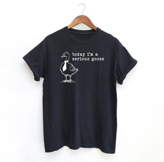 Serious Goose Funny Shirt, Meme Shirt, Menswear T-Shirt Hoodie, Sweatshirt | InkThreadWorks.com