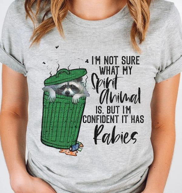 Spirit Animal Has Rabies Raccoon DTF Transfers - THIS IS NOT A SHIRT Hoodie, Sweatshirt | InkThreadWorks.com