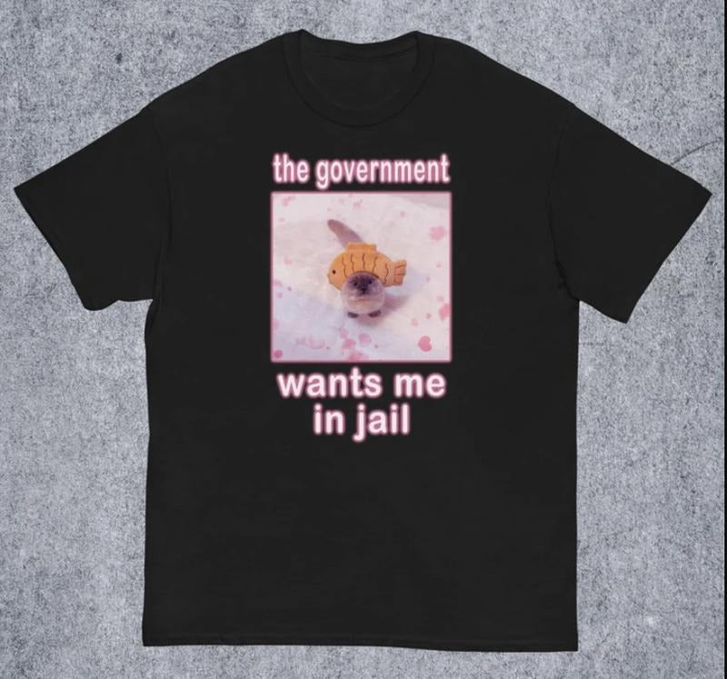 The Government Wants Me in Jail Funny Cat Meme T-shirt Hoodie, Sweatshirt | InkThreadWorks.com