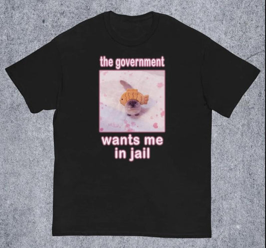 The Government Wants Me in Jail Funny Cat Meme T-shirt Hoodie, Sweatshirt | InkThreadWorks.com