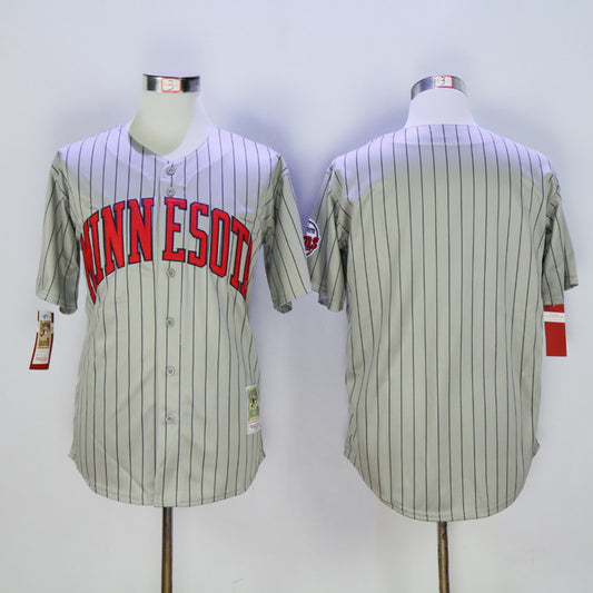 Twins Gray Navy Retro Blank