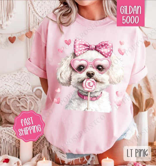 Valentine Bichon Shirt Gildan, Valentine's Day Women's Tee, Cute Women's Tshirt Plus Sizes Hoodie, Sweatshirt