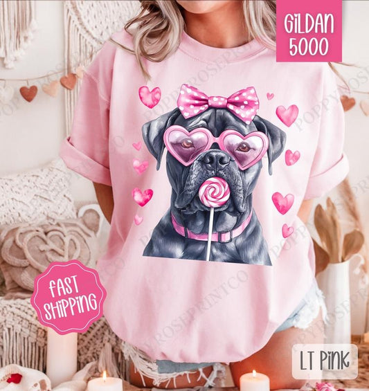 Valentine Cane Corso Shirt Gildan, Valentine's Day Women's Tee, Cute Women's Tshirt Plus Sizes Hoodie, Sweatshirt
