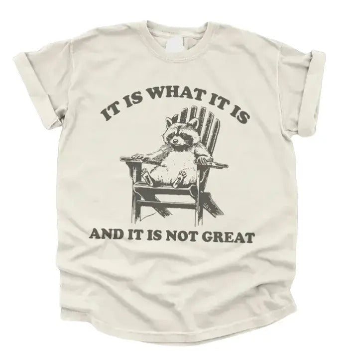 Vintage 90s Funny Racoon TShirt, Meme Shirt Classic Cotton