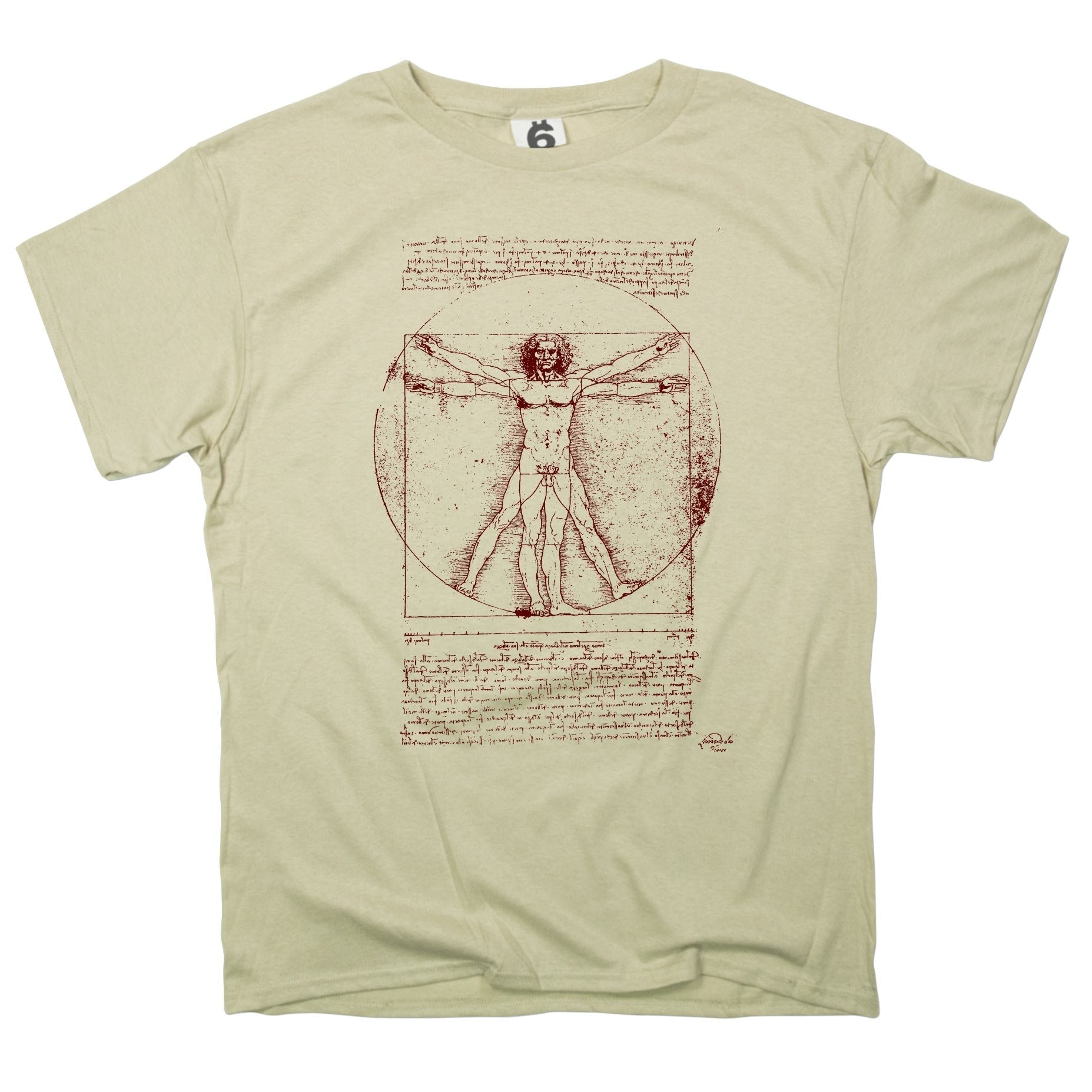 The Vitruvian Man