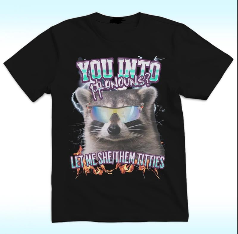 You Into Pronouns Shirt, Let Me She Hoodie, Sweatshirt | InkThreadWorks.com