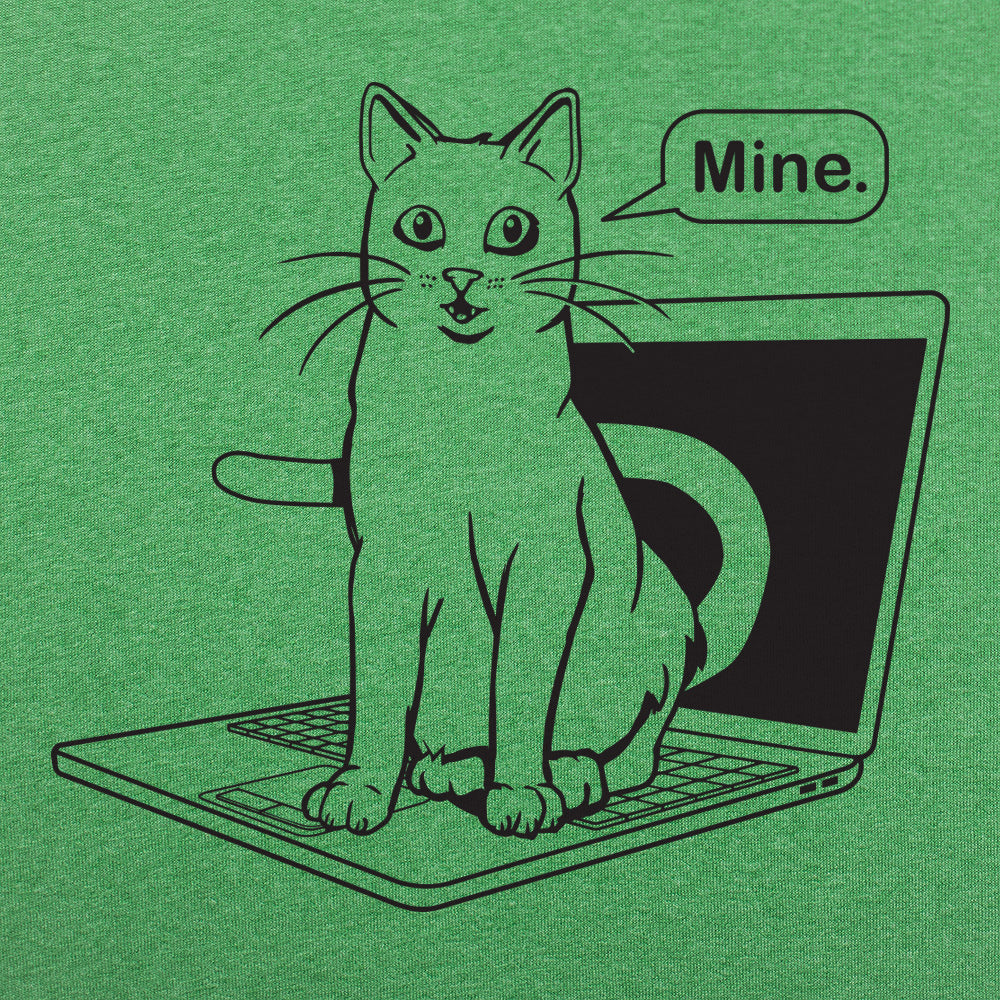 Cat Conquers Laptop