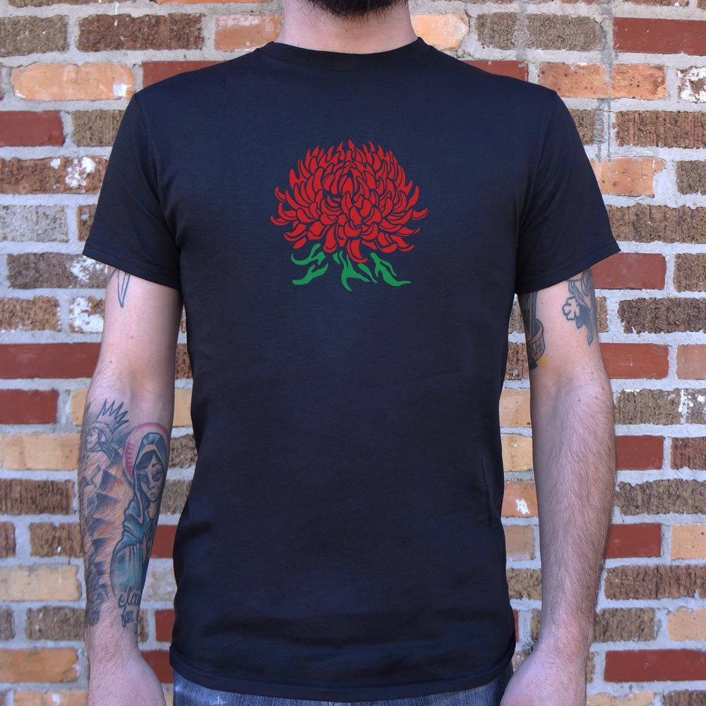 Chrysanthemum