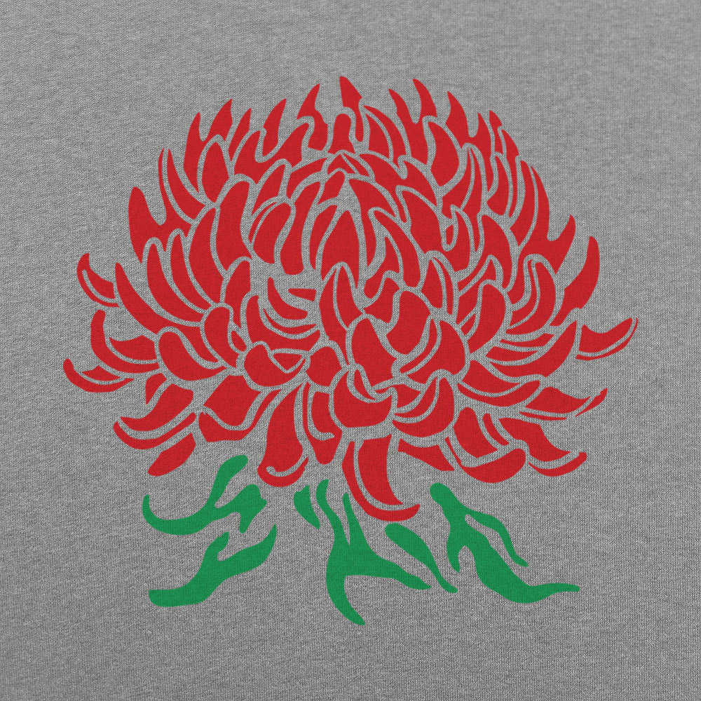 Chrysanthemum