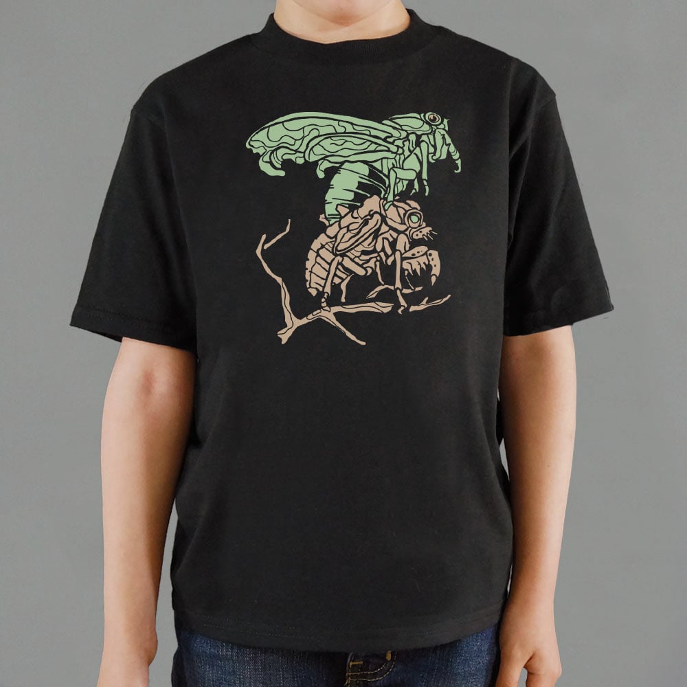 Cicada
