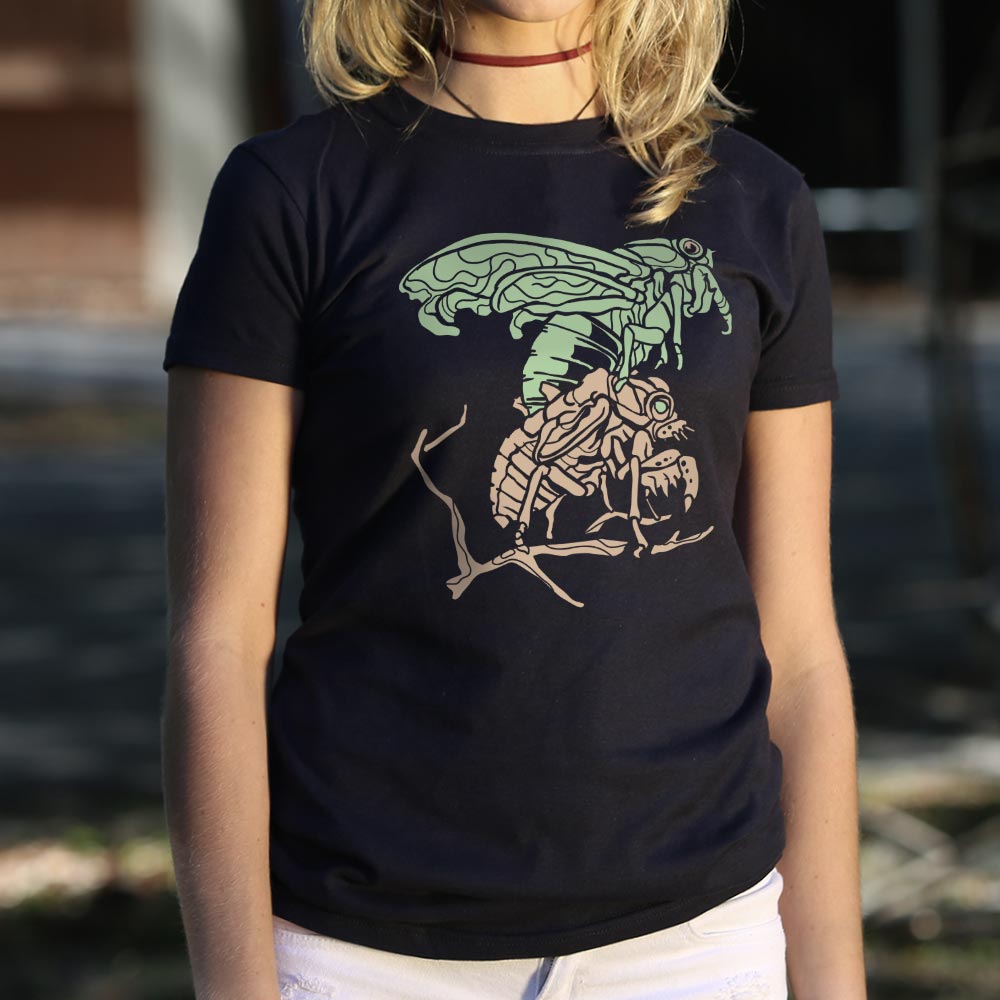Cicada