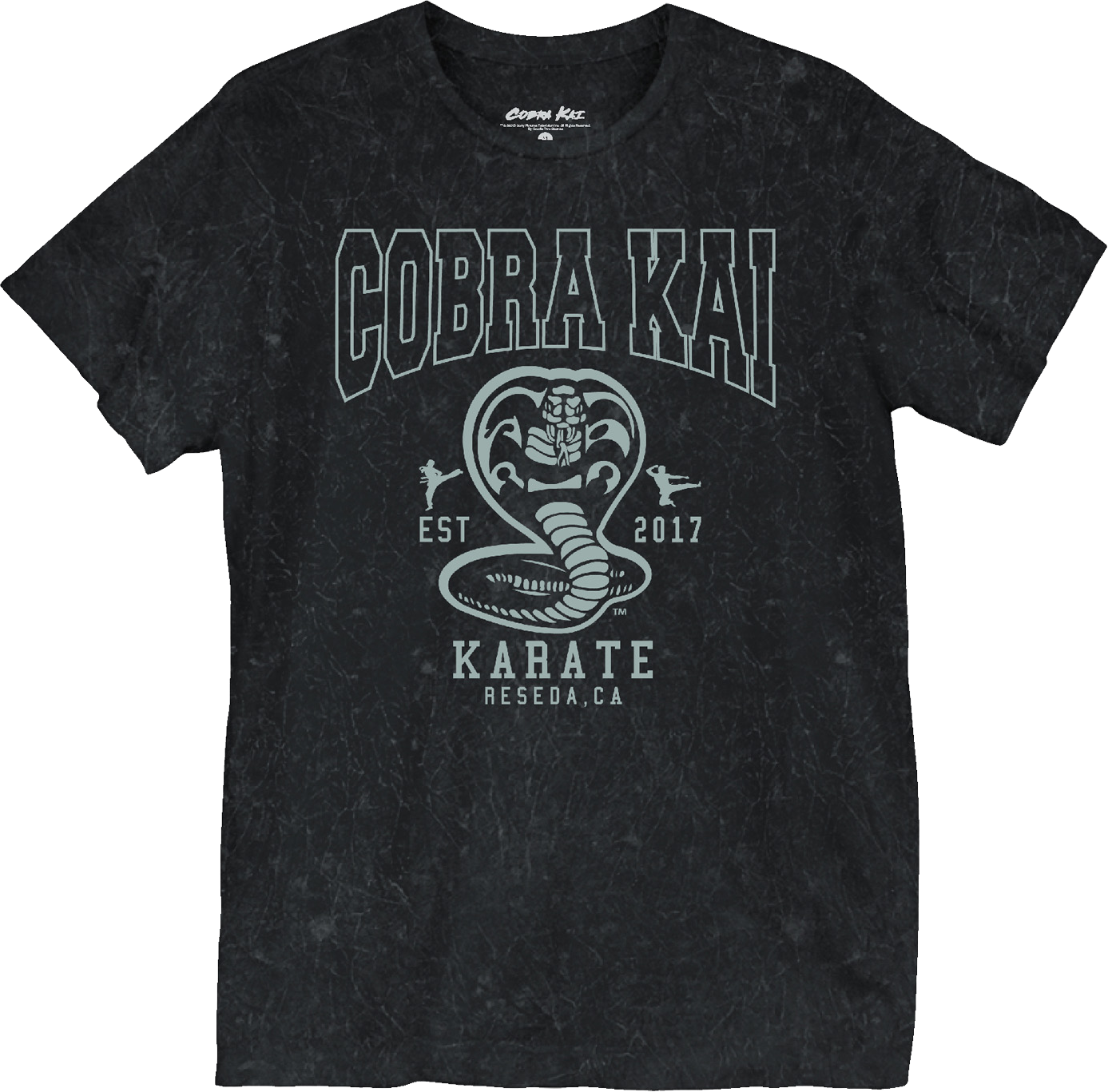 Est. 2017 Cobra Kai T-Shirt