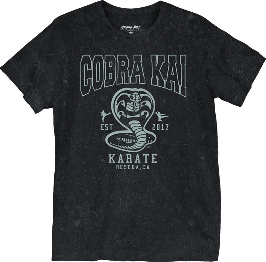 Est. 2017 Cobra Kai T-Shirt