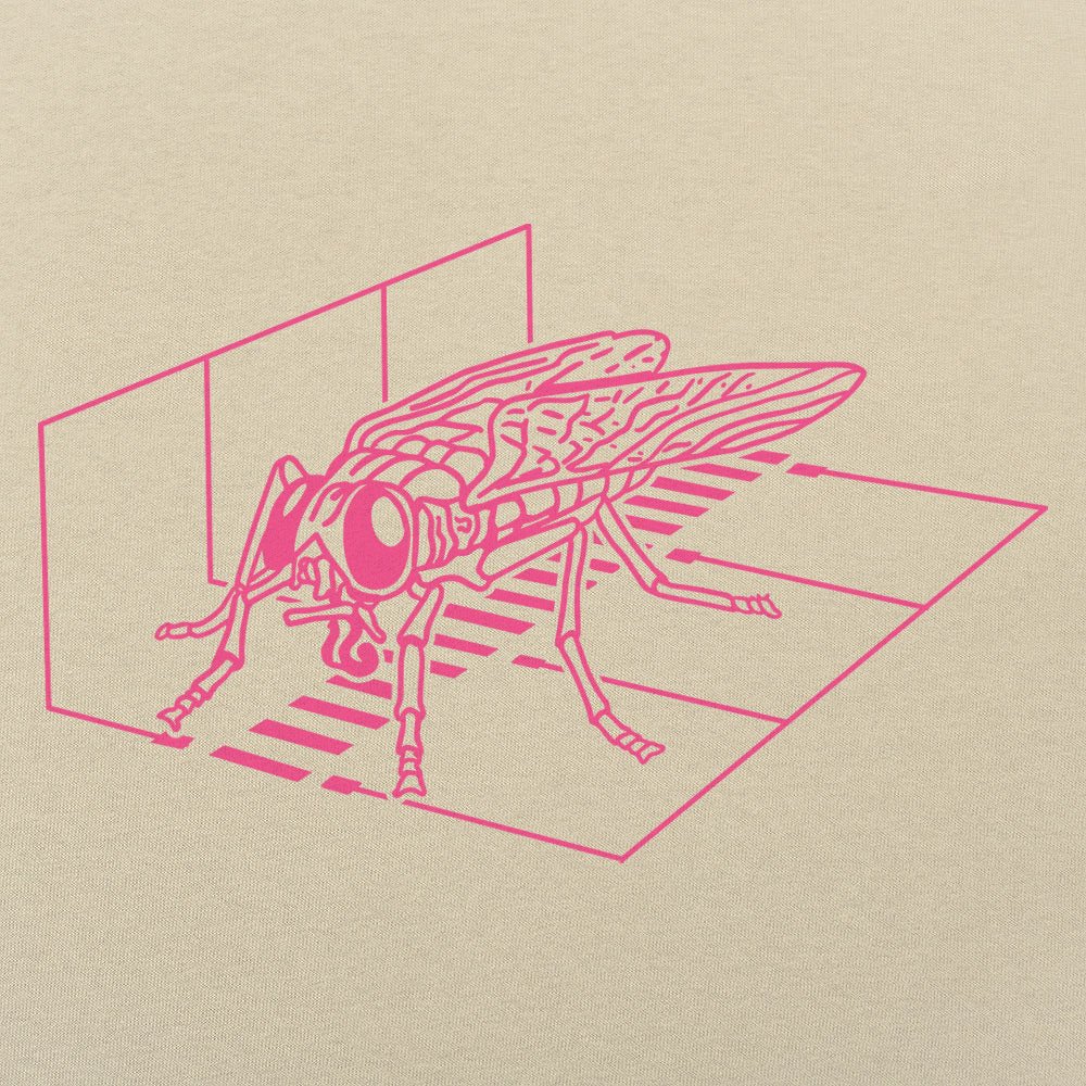 Fly Scan