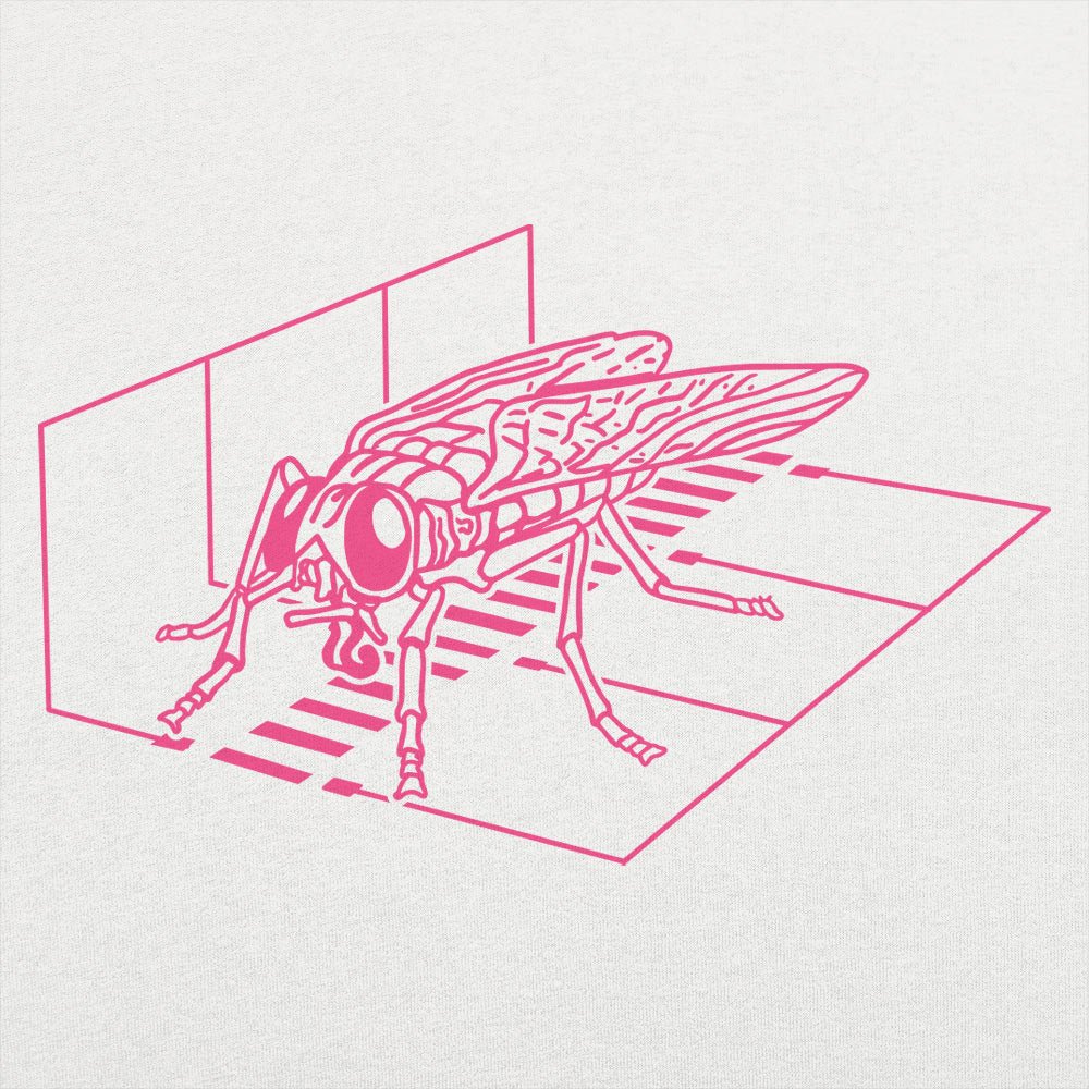 Fly Scan