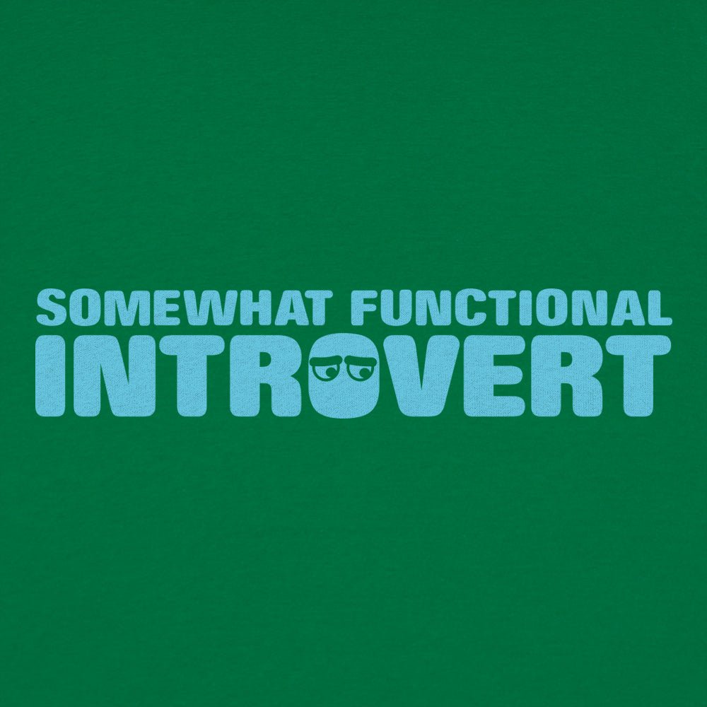 Functional Introvert