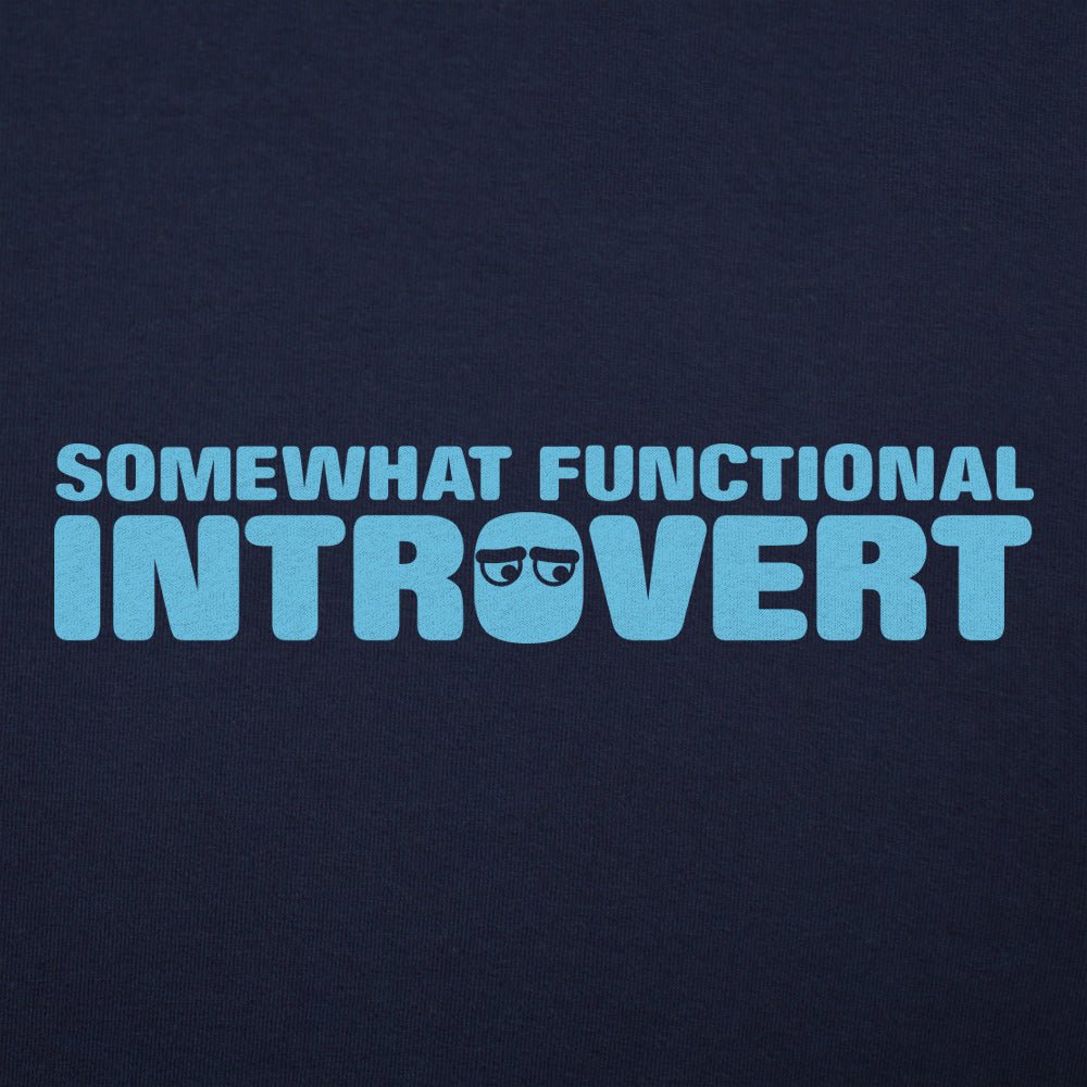 Functional Introvert