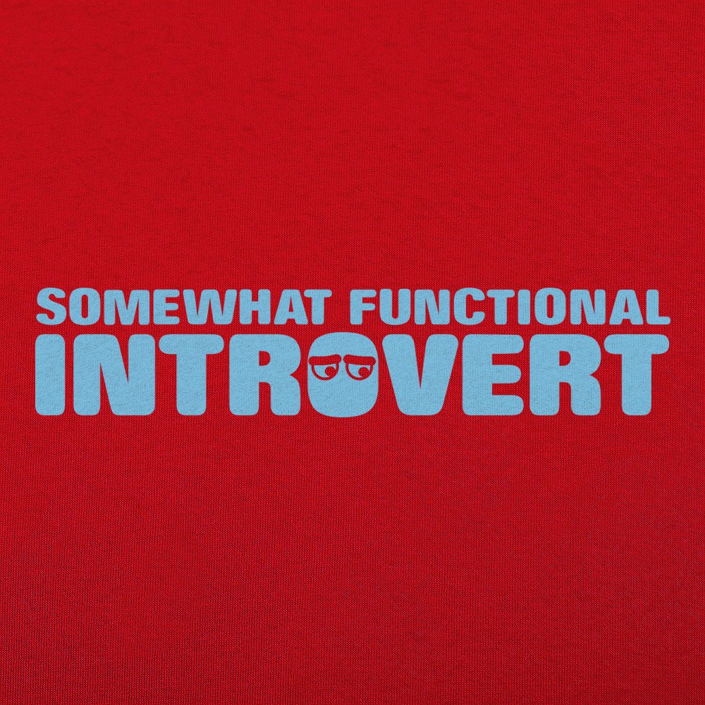 Functional Introvert