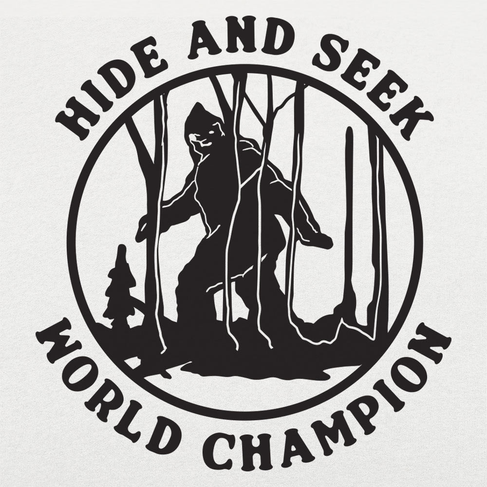 Hide and Seek Champ