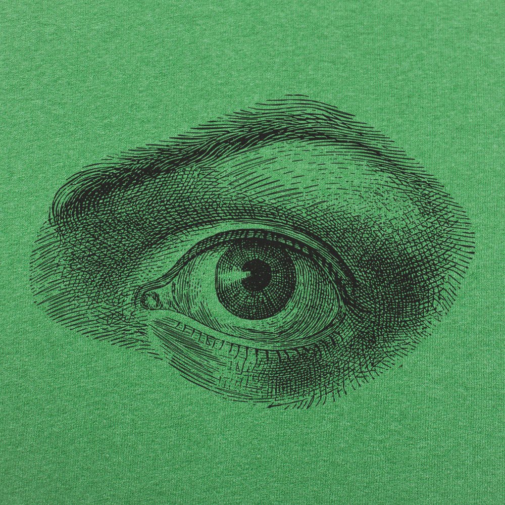 Human Eye