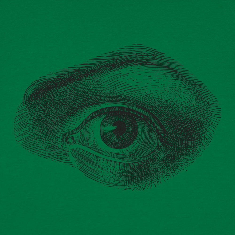 Human Eye