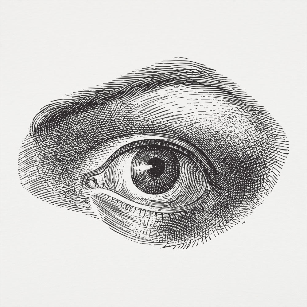 Human Eye