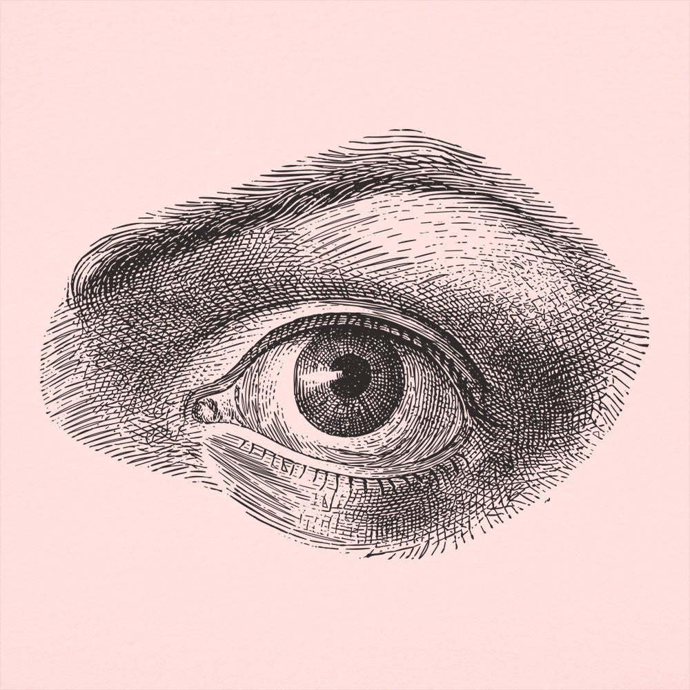 Human Eye