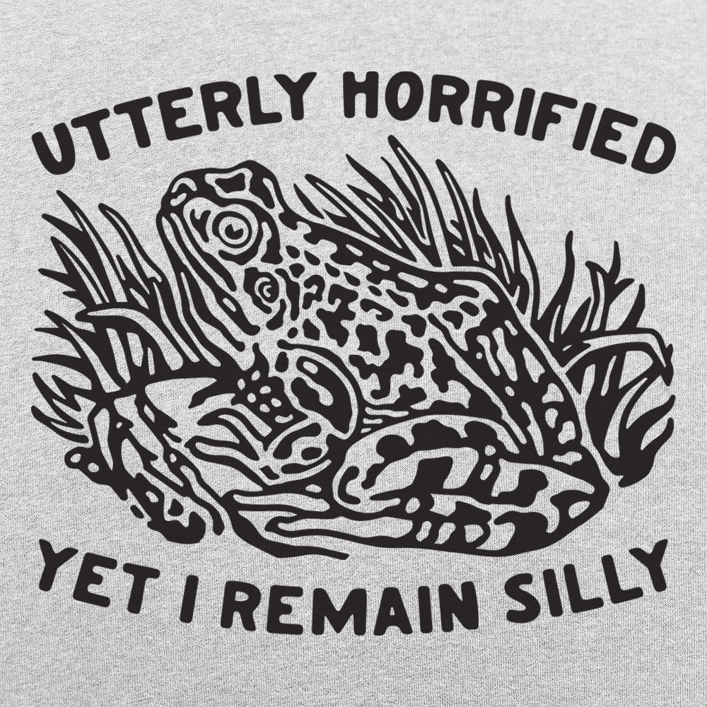 I Remain Silly