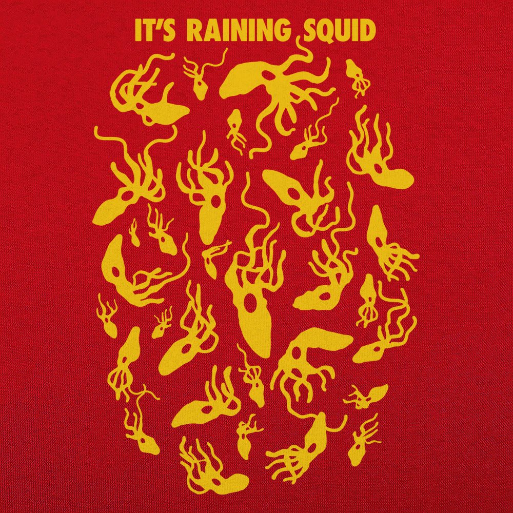 It's Raining Squid