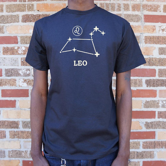 Leo Constellation