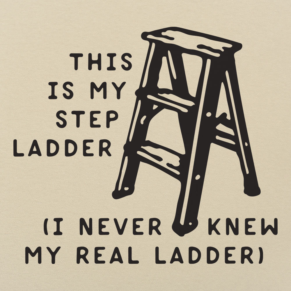 My Step Ladder